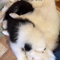 添い寝がお気に入り！！