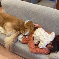 微笑ましい家族団らんでした