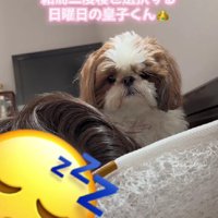 パパを起こそうと寝室へ