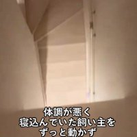 「誰かいるのかな？」