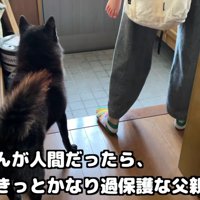 「ママ、みーちゃん大丈夫？」