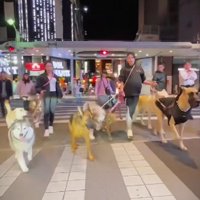 街中では大注目！！