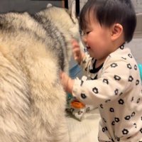 犬に手をついて立ち上がる赤ちゃん 