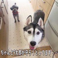 「じゅんちゃんは僕たちが守る！」
