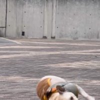 ボールの上を…