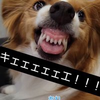 変顔を披露するほど、元気に成長！