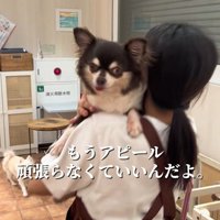 イブちゃんが幸せを掴むまで9