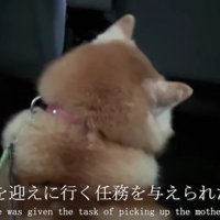 大雪の空港へ…