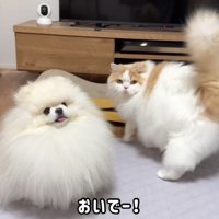 「一緒にねんねしよう」と誘ったら…
