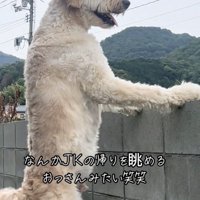 人間味が溢れすぎてる
