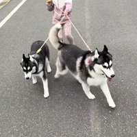 絆を感じる尊い光景