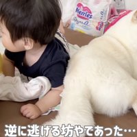 寂しげな表情…