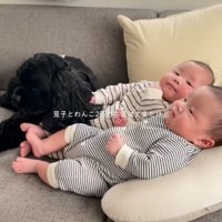 赤ちゃんに寄り添う犬