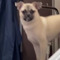 キリっと佇む姿は…