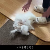 涙腺がゆるみます…♡