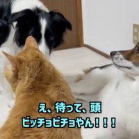 驚きのあまり四度見！