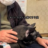 眠ったおじいちゃん