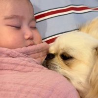 白兵衛くんも寝ちゃいそう…？