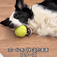 電池が切れてしまった