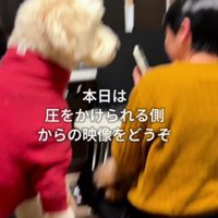 正面から撮影してみた