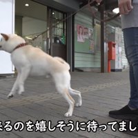 人が通ると大はしゃぎ！