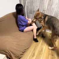 つな君の愛情表現8