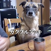 ガタガタガタガタ…