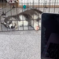 はまちちゃんの成長記録5