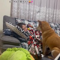 起きた女性