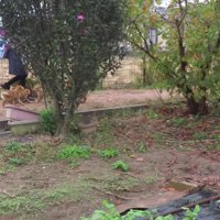 「こんにちは！」