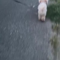 まさかの出来事が！！