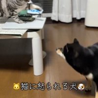 突然の宣戦布告！？