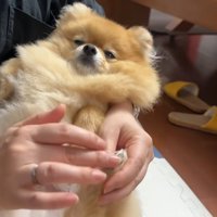 気持ち良さそう♪