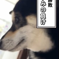 ようやく捕獲成功！