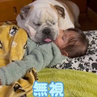 目を伏せる女の子