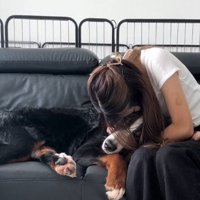 ソファに座っている女性の膝に頭を乗せる犬
