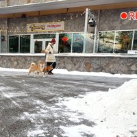 ガン見しながら前進するソラくん