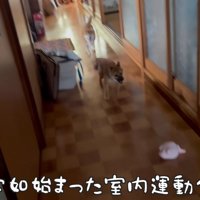 すぐに慣れちゃった！！