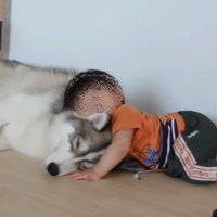 男の子が触れてみたら…