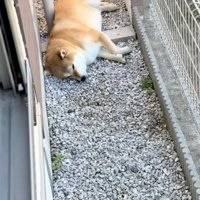 通路を完全封鎖