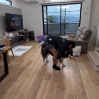 犬に顔をうずめるお兄ちゃん