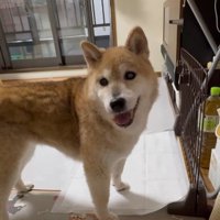 歳を取っても遊び好き♪