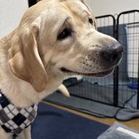 なんて顔