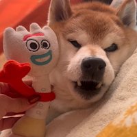 もう一度呼ぶと…