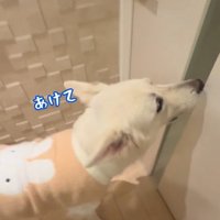 れお君の表情の変化5