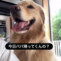 エマちゃんとパパさんの再会2