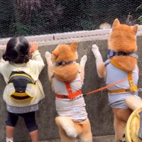 動物園