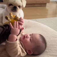 順番待ちする姿にホッコリ