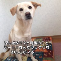 おすわりするきなこちゃん