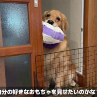 「こんなのとか…」